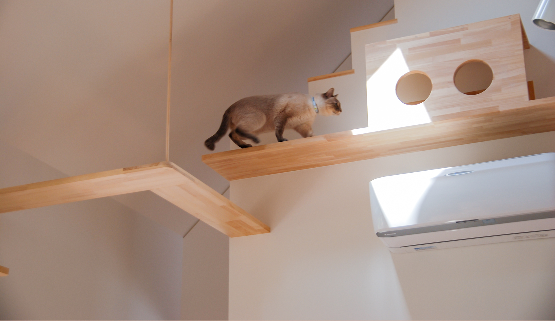 猫との住まいを、人との絆深まる「猫仕様」に。猫と人の住環境の質を高めるご提案。
