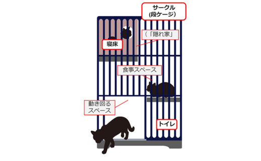 猫の最小空間