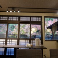 works-so11_14