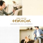 プラスわんプラスにゃん